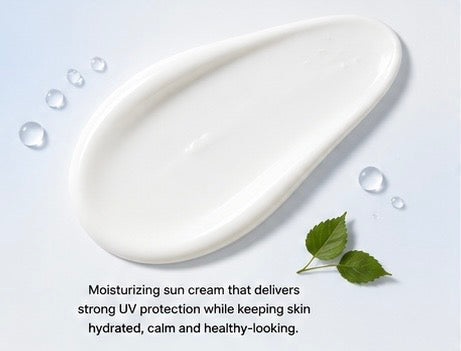 ROUND LAB Birch Juice Moisturizing Sun Cream SPF50+ PA++++ 50ml | Hydrating Daily Sunscreen